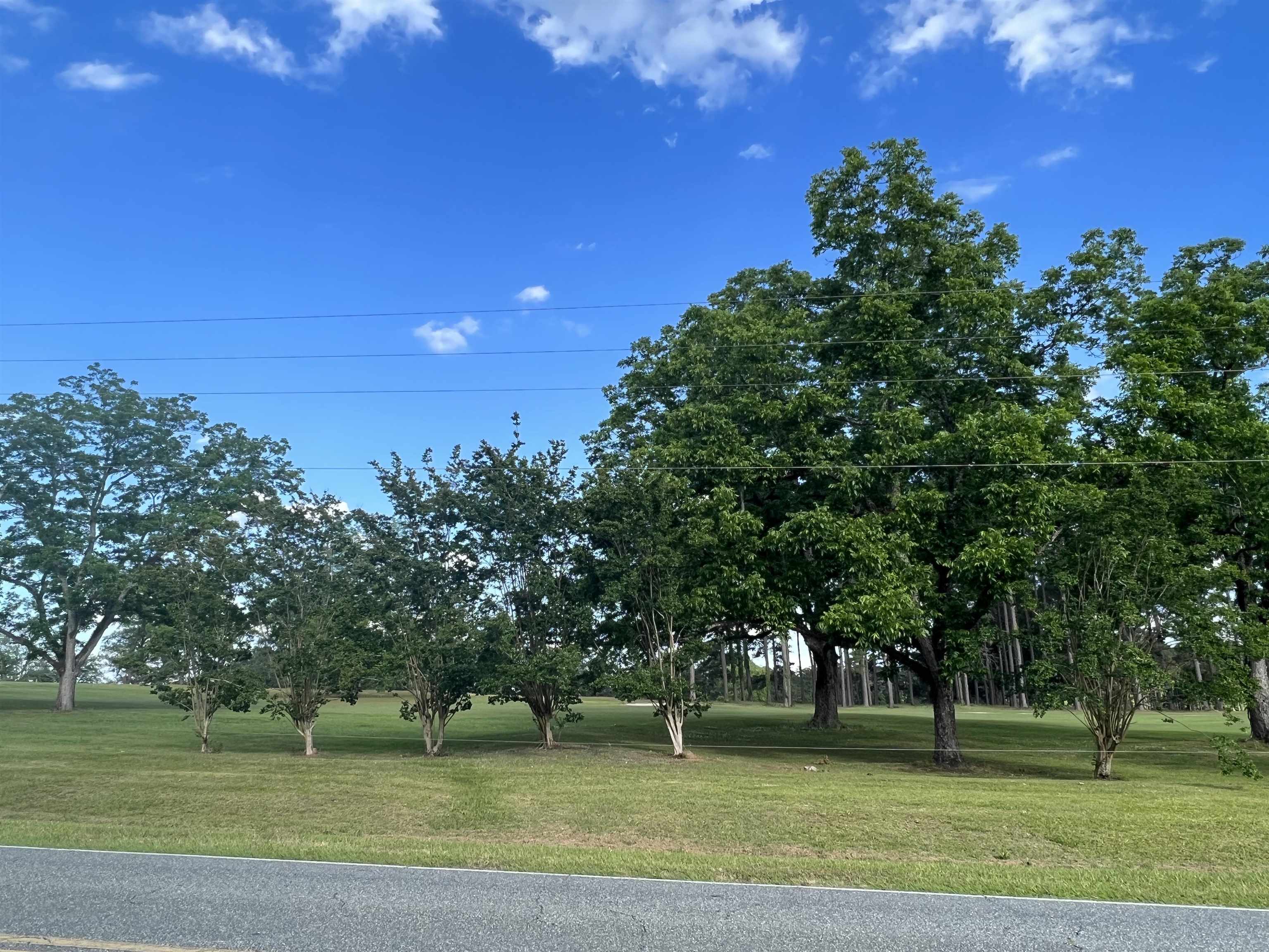 Xxx Devane Road Monticello, FL 32344 - Photo 12 of 14