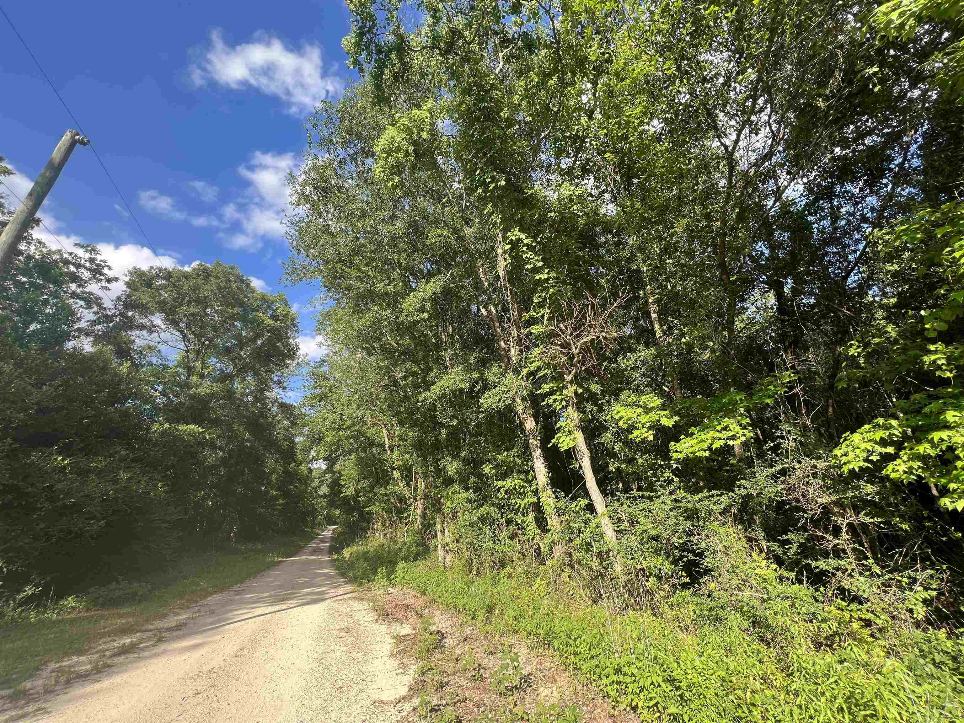 Xxx Devane Road Monticello, FL 32344 - Photo 2 of 14