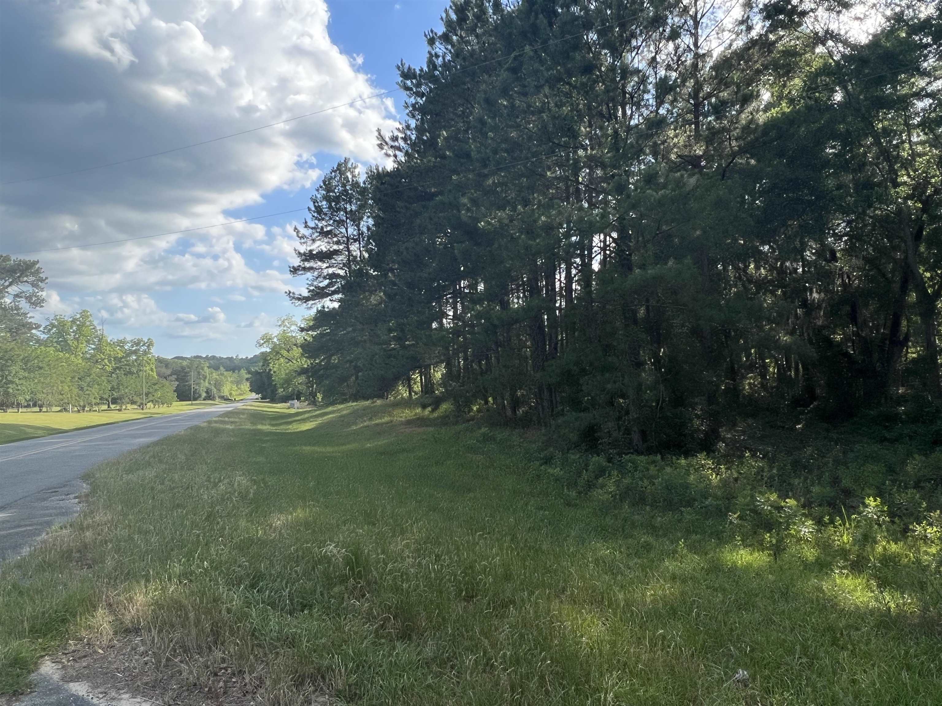 Xxx Devane Road Monticello, FL 32344 - Photo 3 of 14