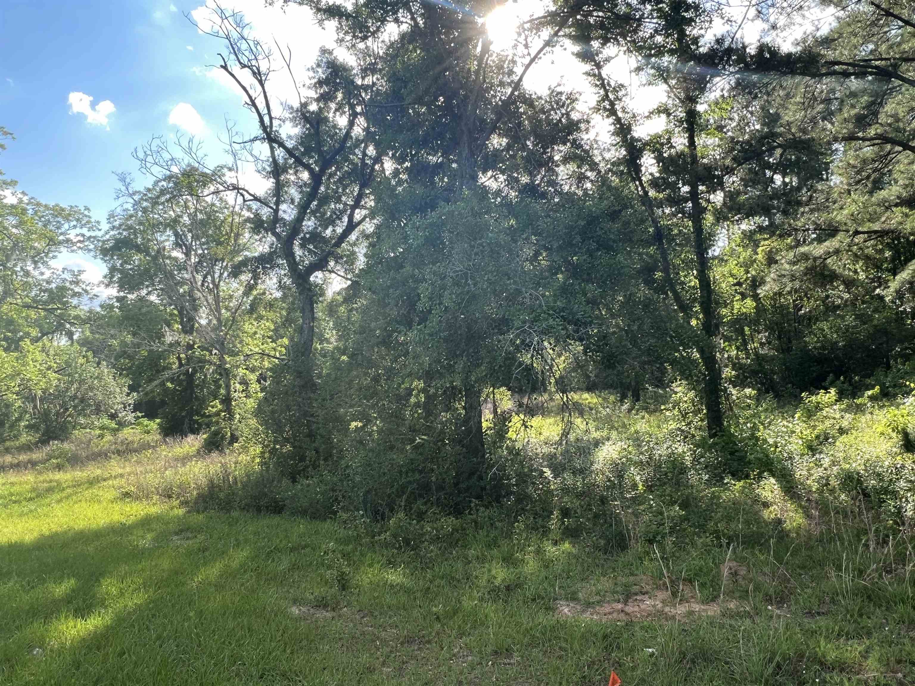 Xxx Devane Road Monticello, FL 32344 - Photo 4 of 14