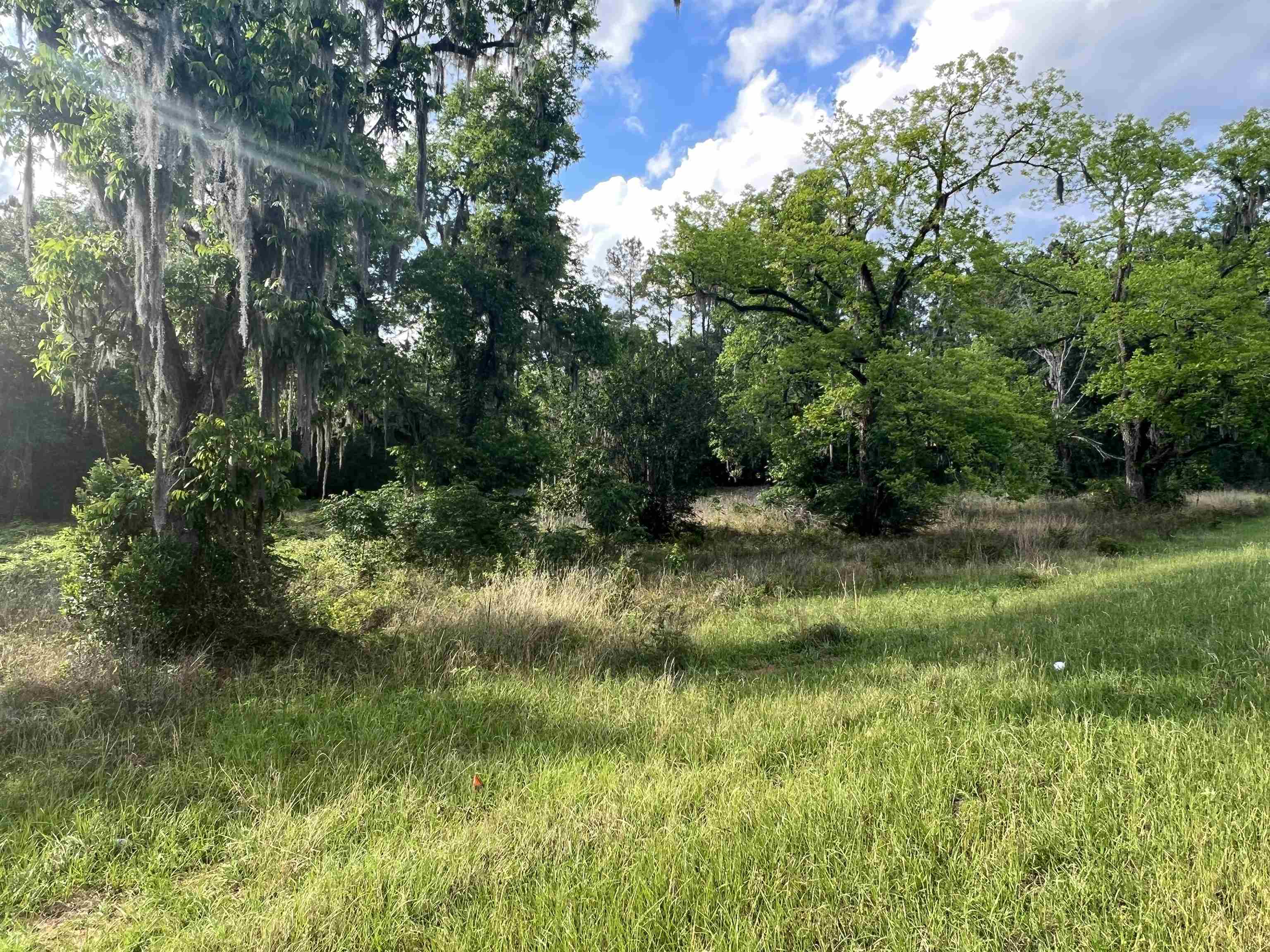 Xxx Devane Road Monticello, FL 32344 - Photo 5 of 14