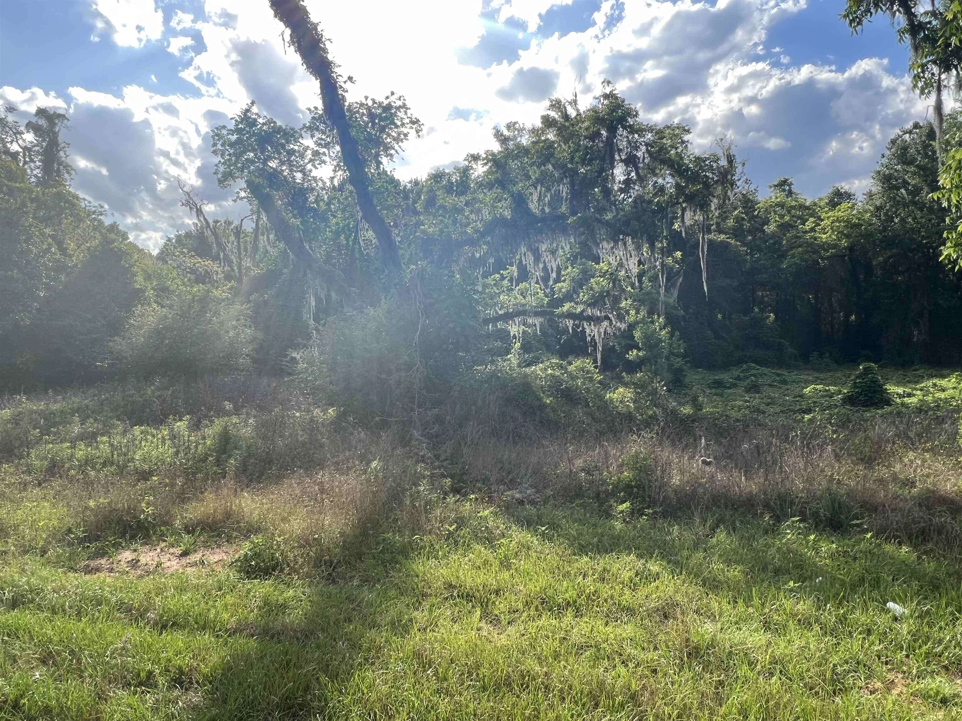 Xxx Devane Road Monticello, FL 32344 - Photo 6 of 14