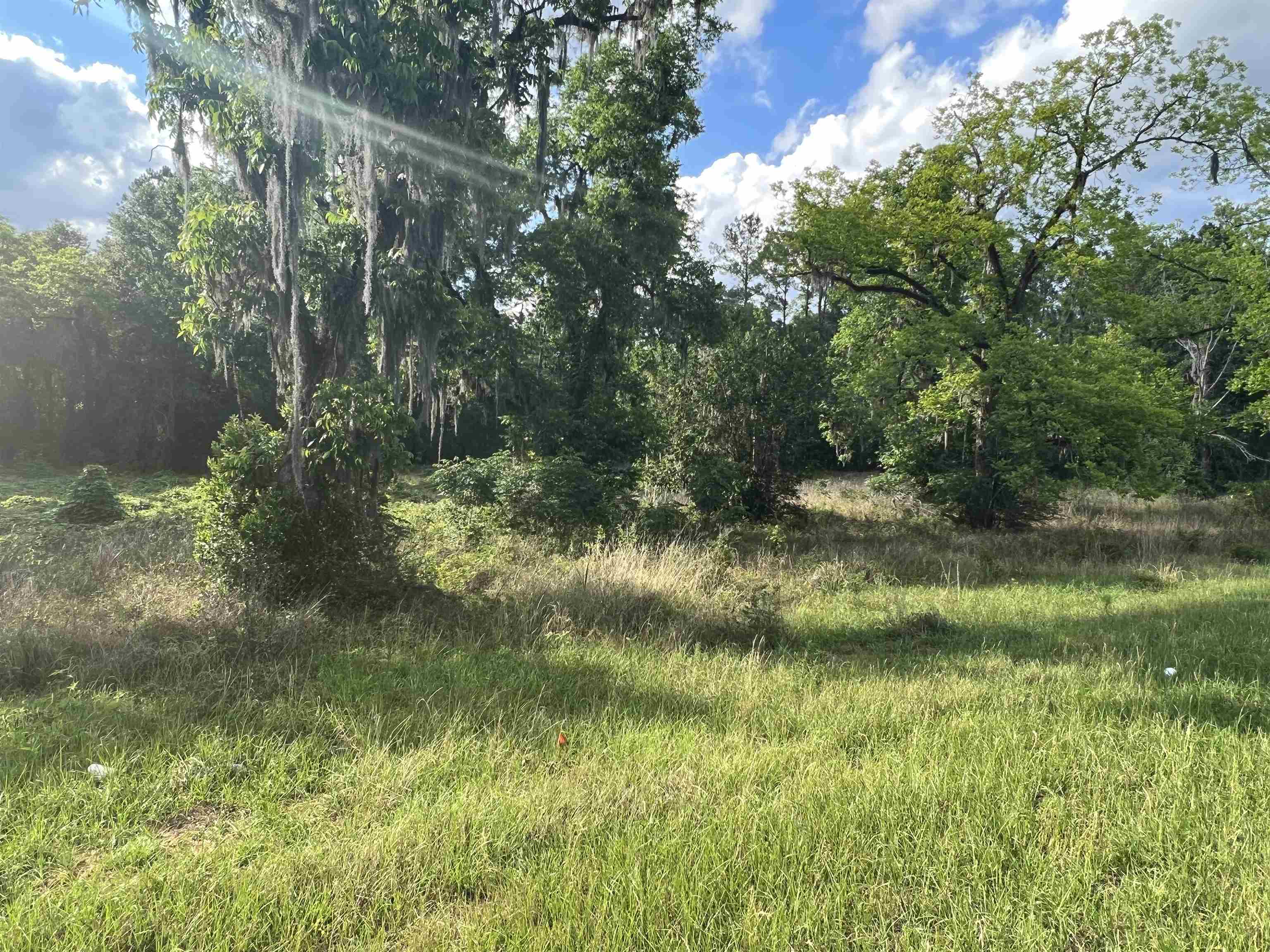 Xxx Devane Road Monticello, FL 32344 - Photo 7 of 14