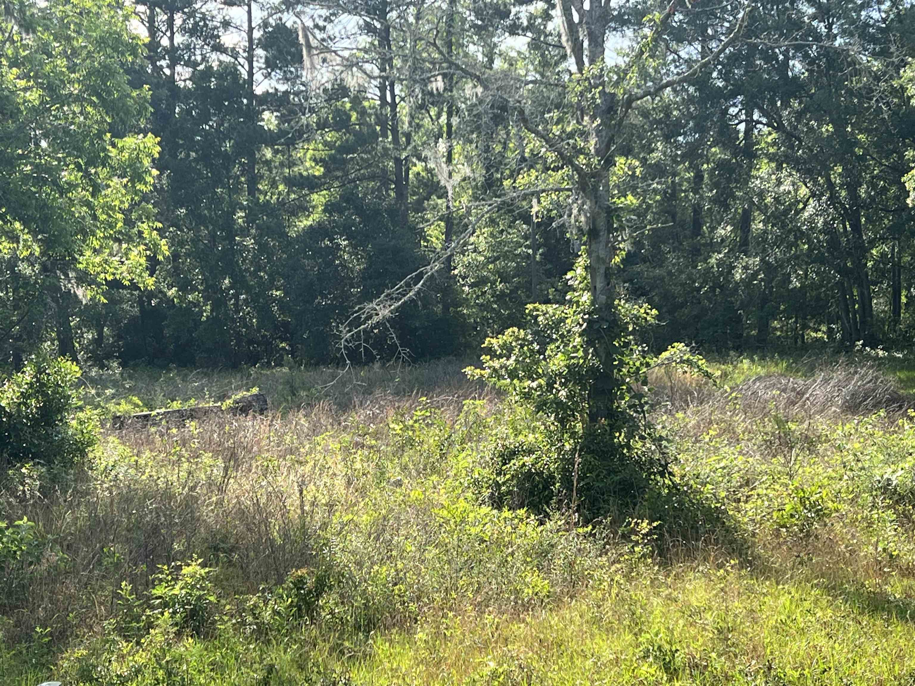 Xxx Devane Road Monticello, FL 32344 - Photo 8 of 14