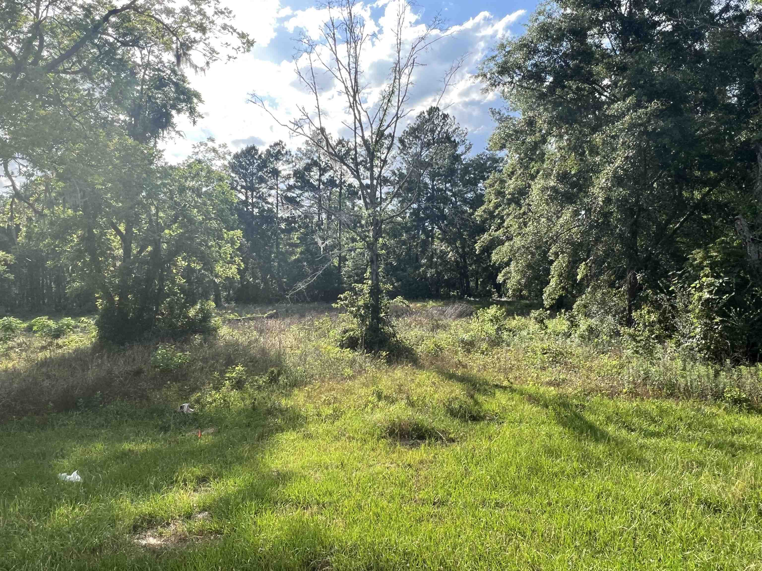 Xxx Devane Road Monticello, FL 32344 - Photo 9 of 14