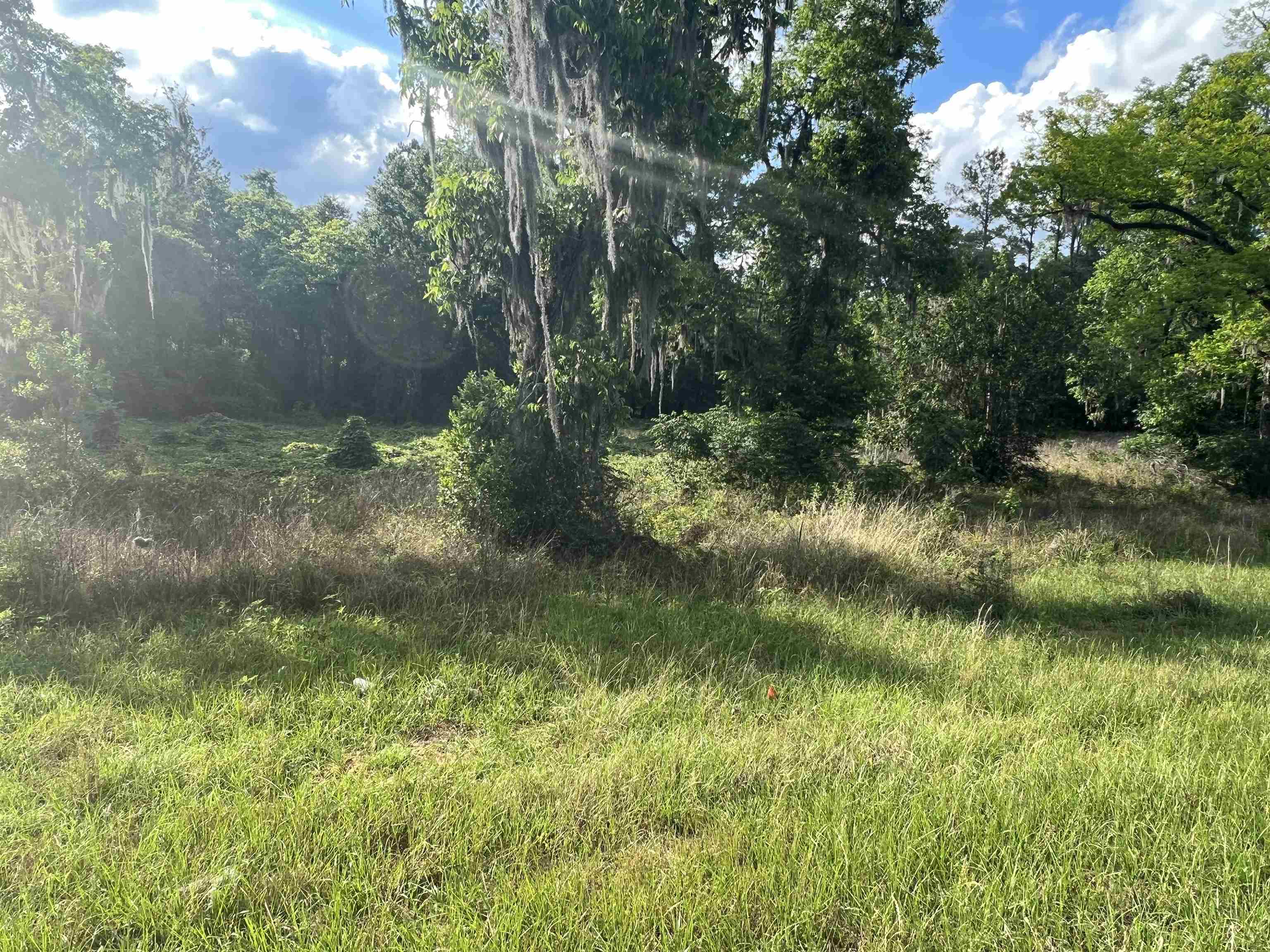 Xxx Devane Road Monticello, FL 32344 - Photo 10 of 14