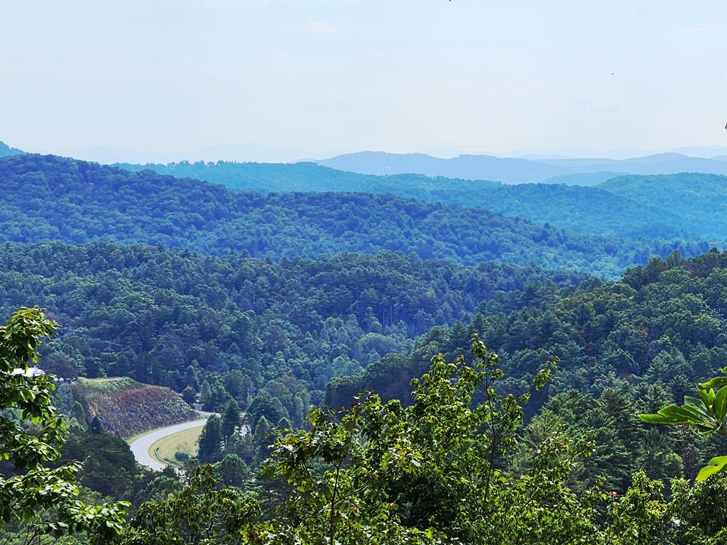an aerial view of residential house and green space