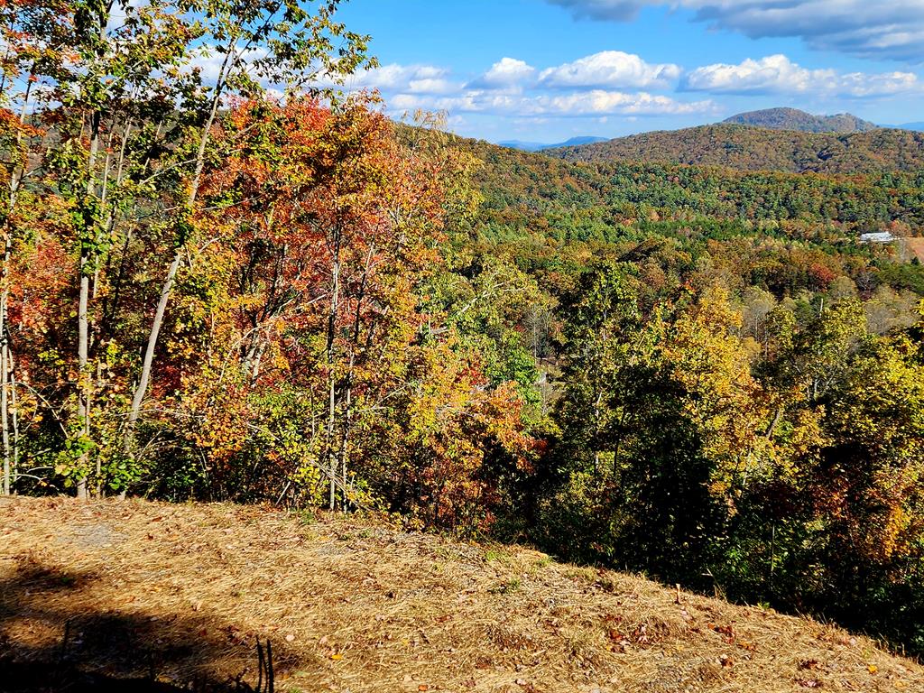 674 Warbler Road Murphy, NC 28906 - Photo 7 of 10 a view of a yard