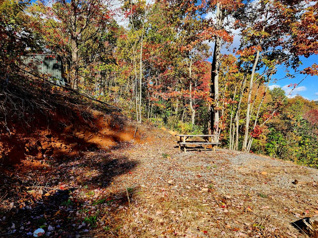 674 Warbler Road Murphy, NC 28906 - Photo 8 of 10 a view of a bench in a backyard