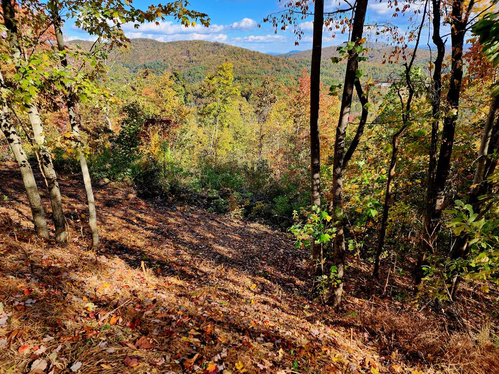 674 Warbler Road Murphy, NC 28906 - Photo 9 of 10 a view of a yard with plants and wooden fence