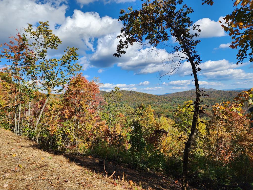 674 Warbler Road Murphy, NC 28906 - Photo 10 of 10 a view of a city with flower plants