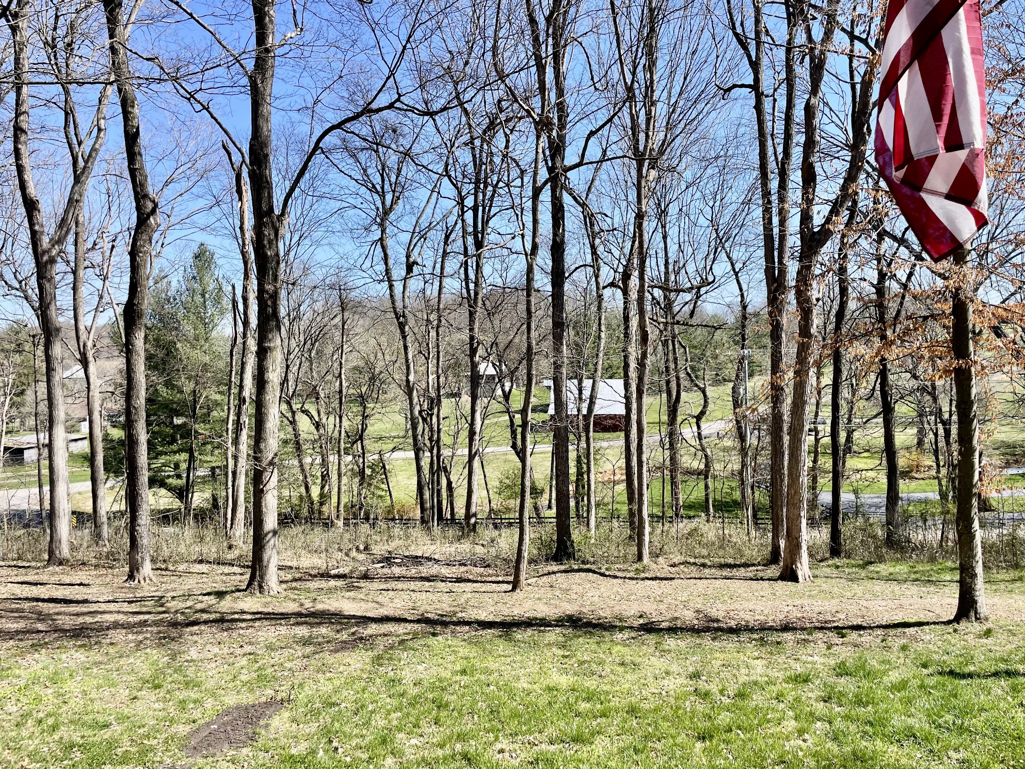 3716 Baggett Road Springfield, TN 37172 - Photo 38 of 40 a view of a yard with large trees