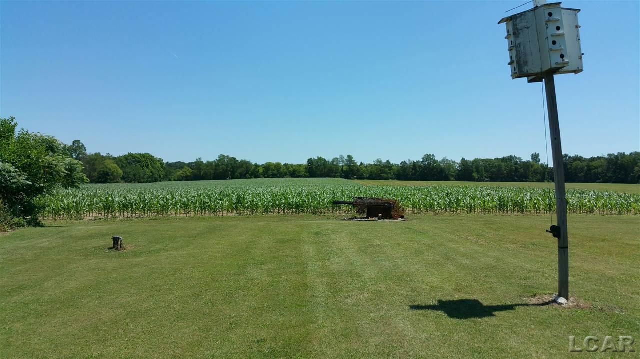 6171 South Tripp Road Osseo, MI 49266 - Photo 8 of 8