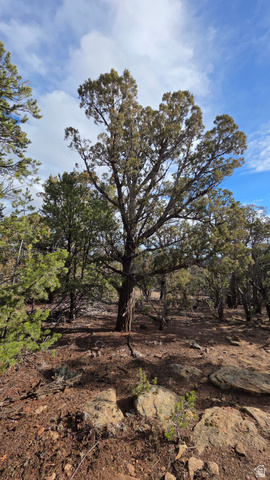 95 Wray Mesa Road, Unit 10 La Sal, UT 84530 - Photo 10 of 14 View of local wilderness