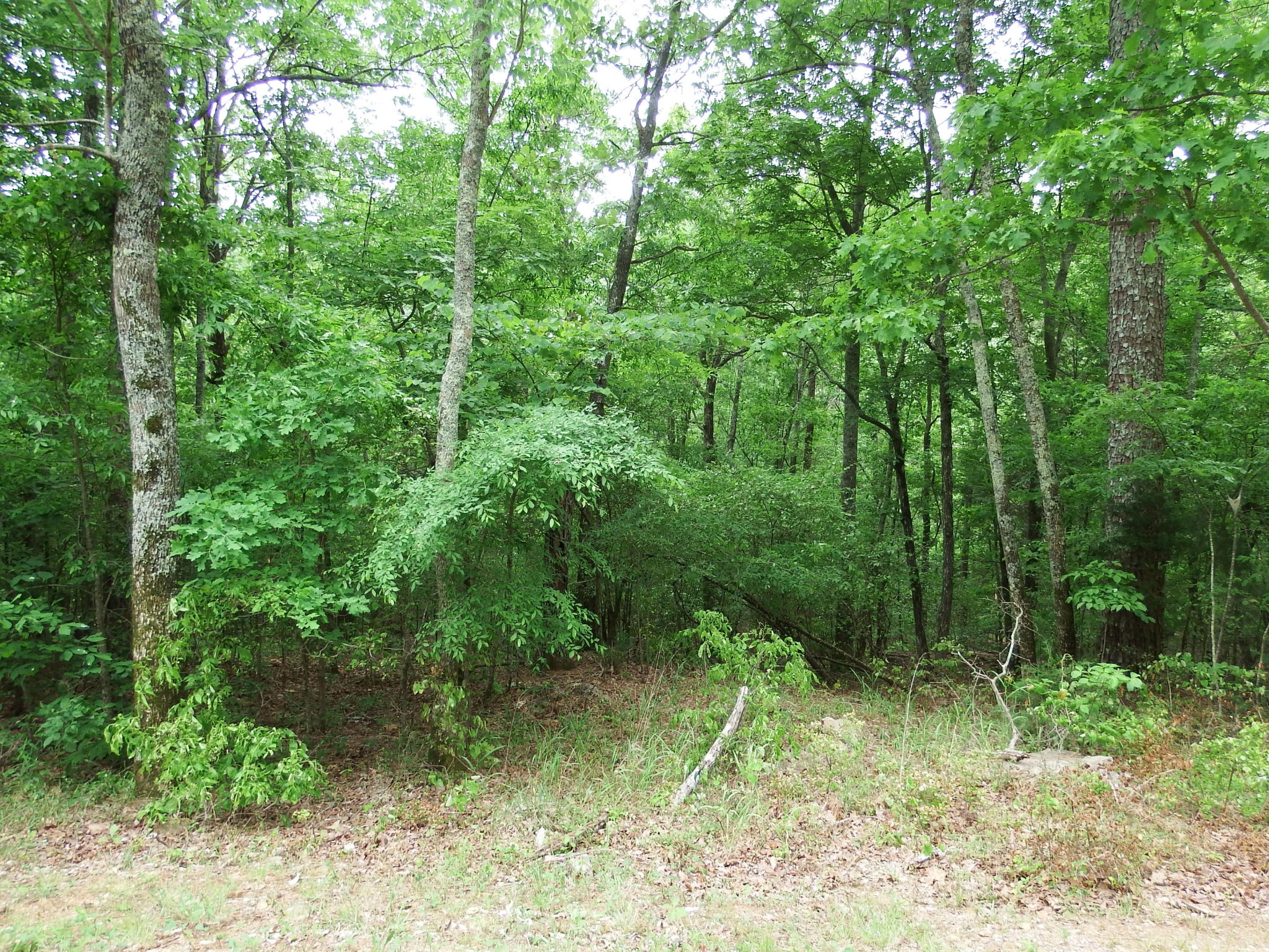24 Bluffs Road North Guild, TN 37340 - Photo 1 of 13 Gallery Image 1