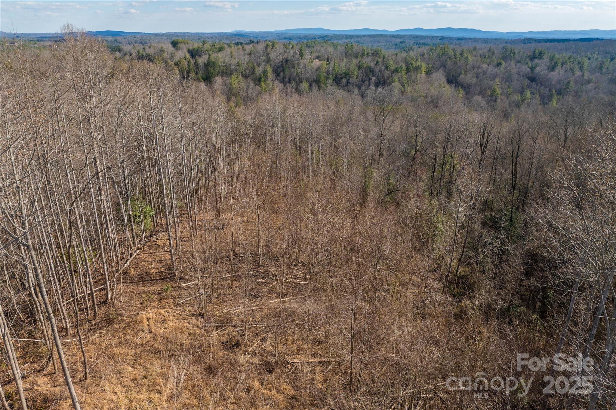 1030 River Club Ridge Lenoir, NC 28645 - Photo 12 of 34 a view of a dry yard with trees in the background