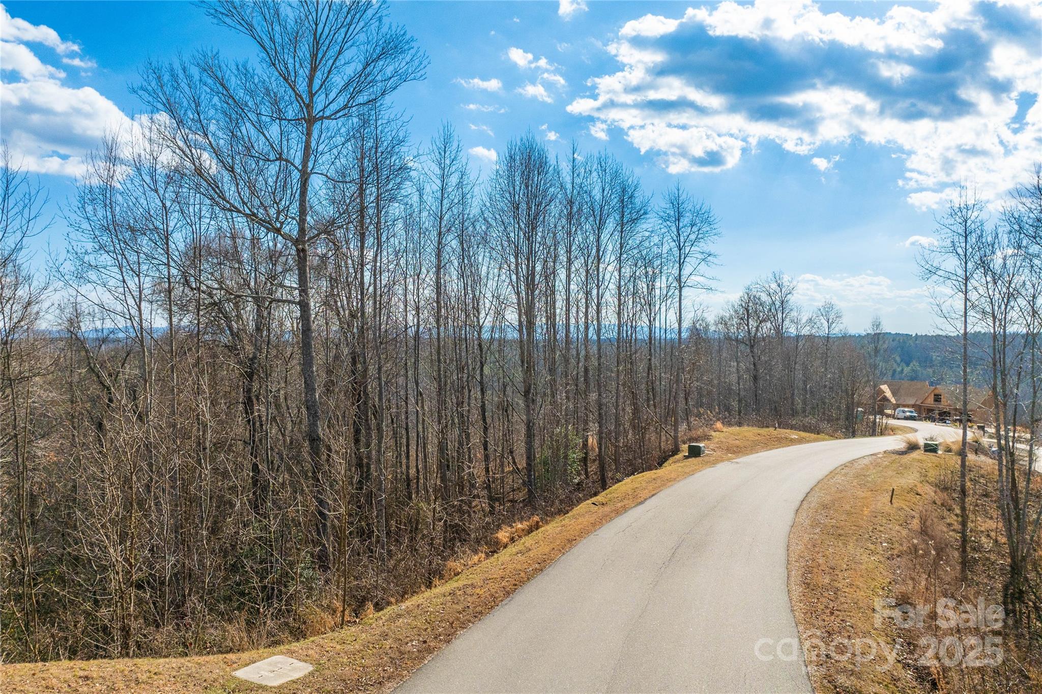 1030 River Club Ridge Lenoir, NC 28645 - Photo 15 of 34 a view of a backyard with iron fence
