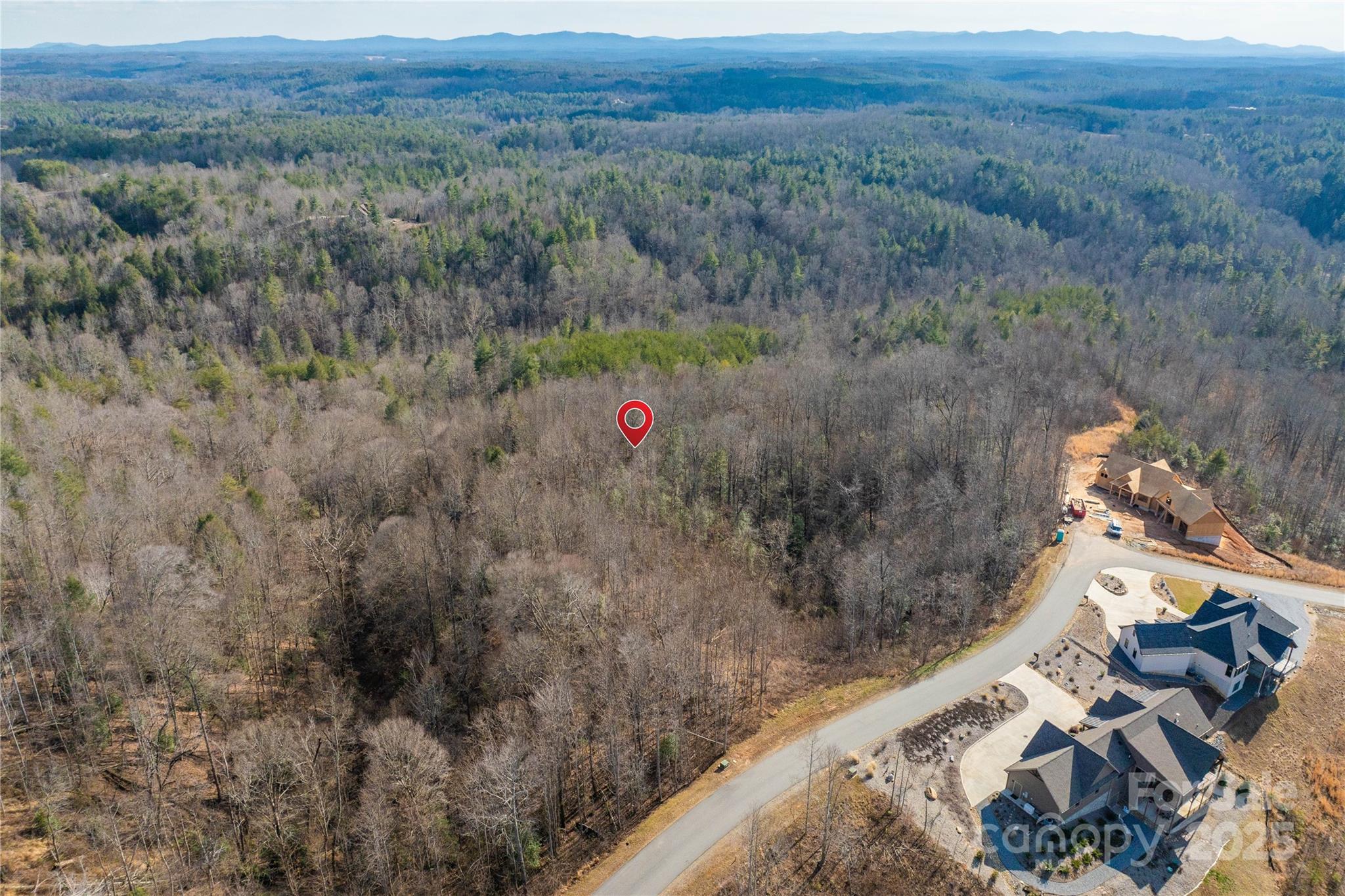 1030 River Club Ridge Lenoir, NC 28645 - Photo 17 of 34 a view of a forest with a forest