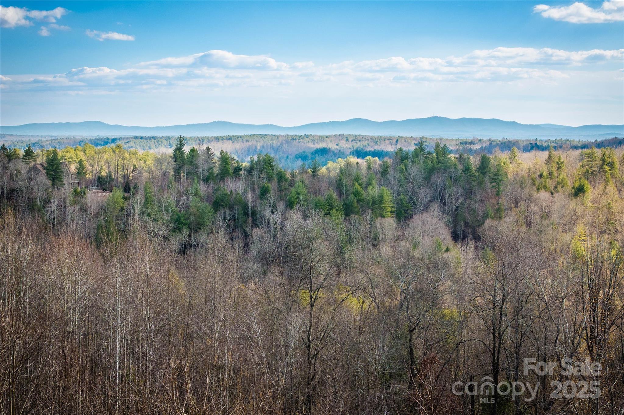 1030 River Club Ridge Lenoir, NC 28645 - Photo 2 of 34 a view of mountain with lake view