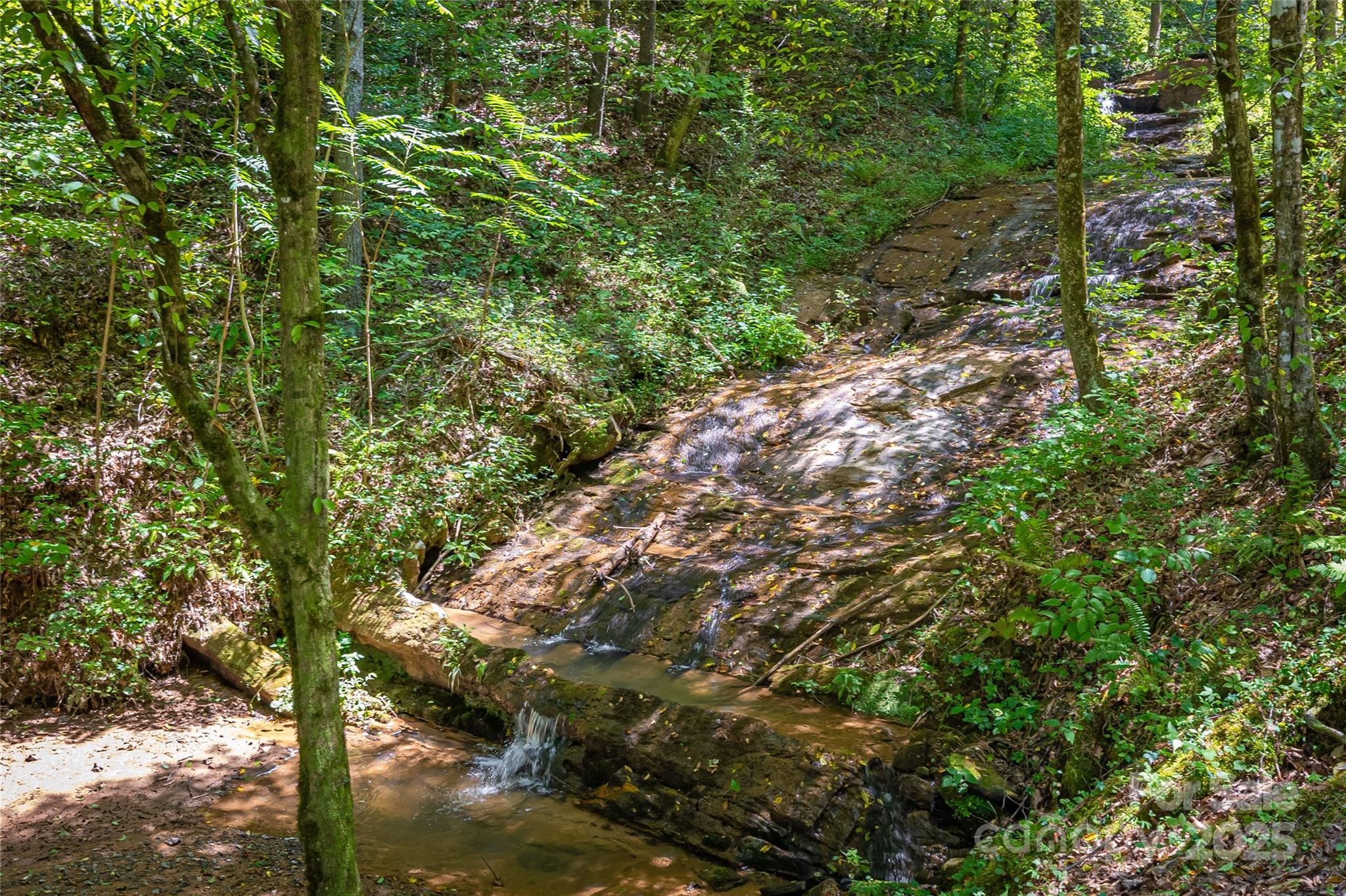 1030 River Club Ridge Lenoir, NC 28645 - Photo 27 of 34