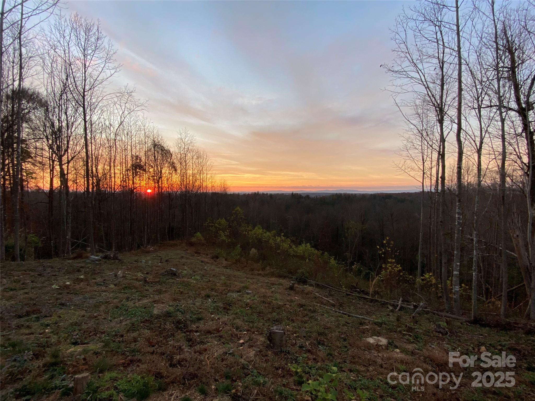 1030 River Club Ridge Lenoir, NC 28645 - Photo 6 of 34 a view of outdoor space and yard
