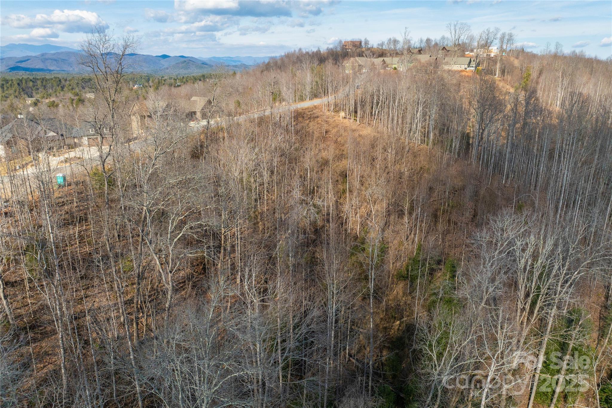 1030 River Club Ridge Lenoir, NC 28645 - Photo 10 of 34 a view of a lake from a yard