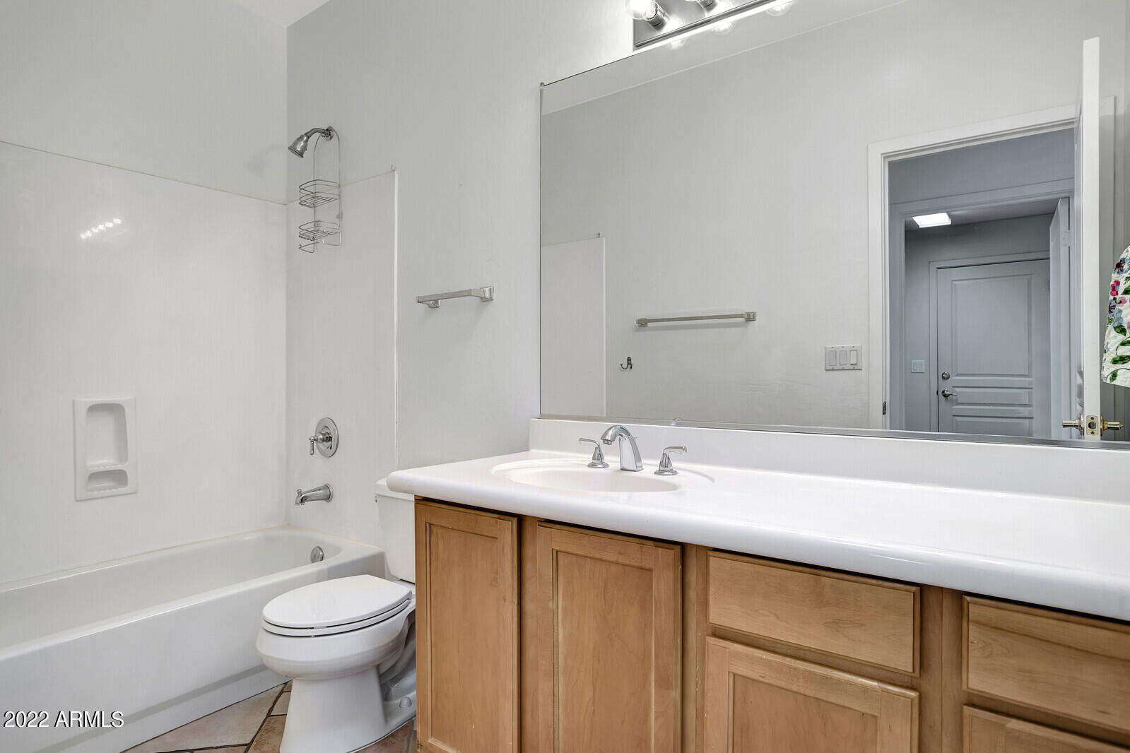 3832 East Carson Road Phoenix, AZ 85042 - Photo 21 of 33 Hall Bathroom