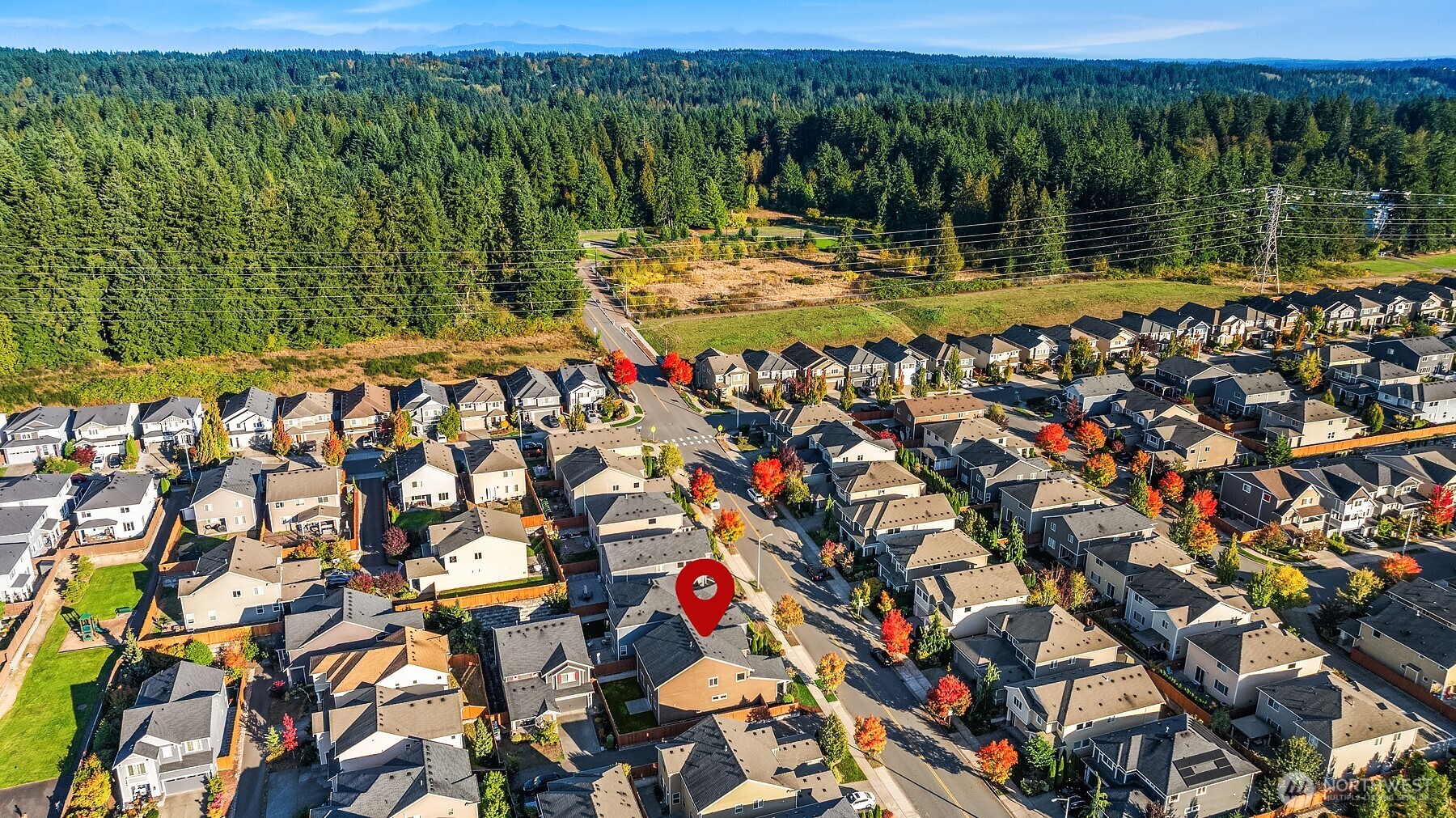 4111 174th Street Southeast Bothell, WA 98012 - Photo 38 of 40 a view of a large with large trees