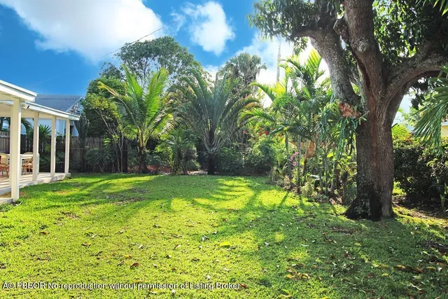 a view of a yard with a tree