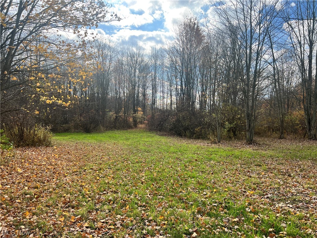 6 Us Route Pierpont, OH 44082 - Photo 2 of 32 View of nature