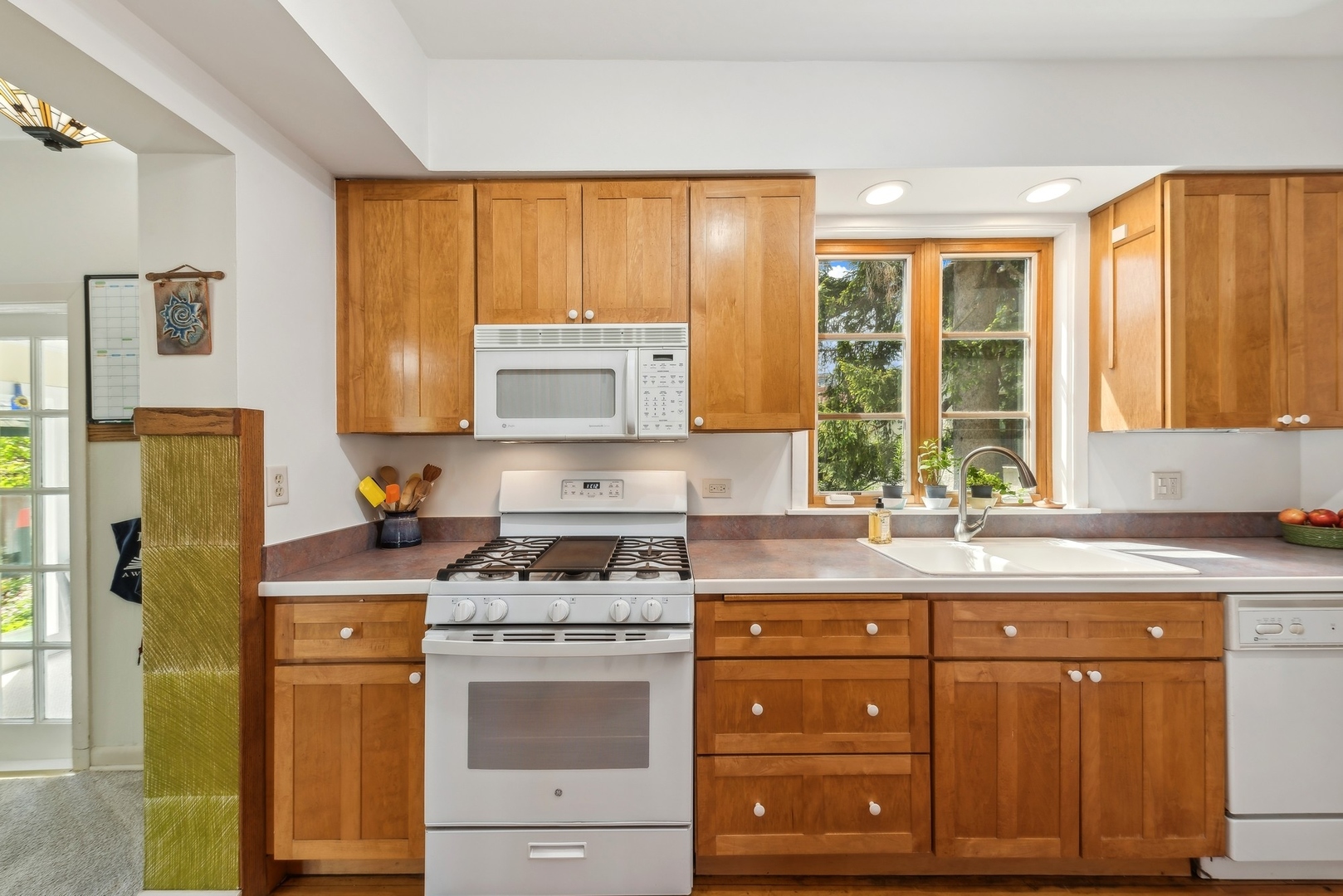 531 Cedar Street Park Ridge, IL 60068 - Photo 7 of 23 Gallery Image 7