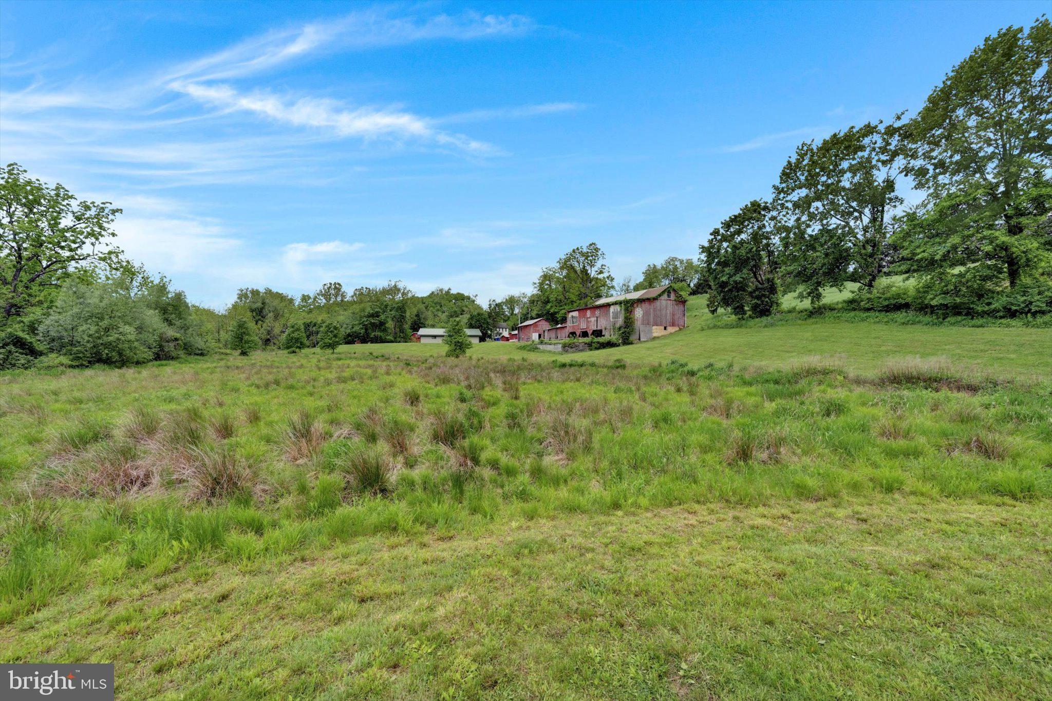 235 Stump Road Kutztown, PA 19530 - Photo 17 of 38 a view of a big yard with plants and large trees