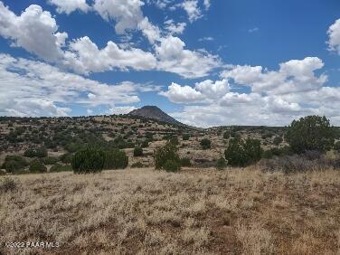 Lot 73 Rocky Rabbit Road Ash Fork, AZ 86320 - Photo 22 of 104 IMG_20220701_124142183_HDR