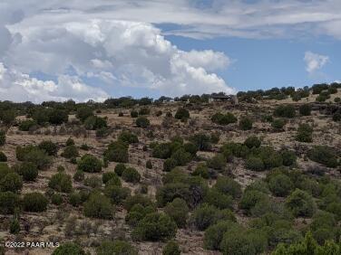 Lot 73 Rocky Rabbit Road Ash Fork, AZ 86320 - Photo 23 of 104 IMG_20220701_124232929_HDR