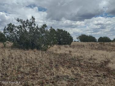 Lot 73 Rocky Rabbit Road Ash Fork, AZ 86320 - Photo 28 of 104 IMG_20220701_124630316_HDR