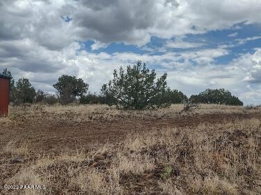 Lot 73 Rocky Rabbit Road Ash Fork, AZ 86320 - Photo 29 of 104 IMG_20220701_124632212_HDR