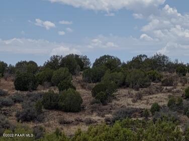 Lot 73 Rocky Rabbit Road Ash Fork, AZ 86320 - Photo 30 of 104 IMG_20220701_124759686_HDR