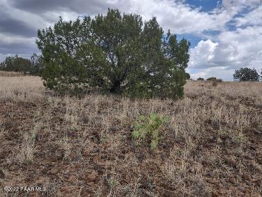 Lot 73 Rocky Rabbit Road Ash Fork, AZ 86320 - Photo 31 of 104 IMG_20220701_125051377_HDR
