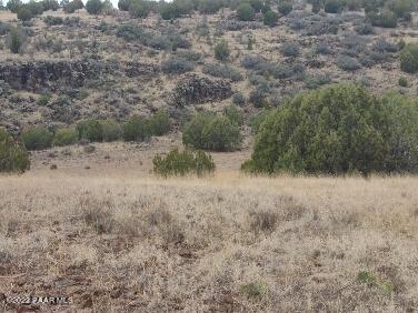 Lot 73 Rocky Rabbit Road Ash Fork, AZ 86320 - Photo 34 of 104 IMG_20220701_125258421