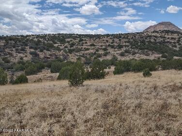 Lot 73 Rocky Rabbit Road Ash Fork, AZ 86320 - Photo 35 of 104 IMG_20220701_125301289_HDR
