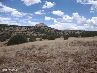 Lot 73 Rocky Rabbit Road Ash Fork, AZ 86320 - Photo 36 of 104 IMG_20220701_125532349