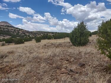 Lot 73 Rocky Rabbit Road Ash Fork, AZ 86320 - Photo 37 of 104 IMG_20220701_125534697_HDR