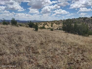 Lot 73 Rocky Rabbit Road Ash Fork, AZ 86320 - Photo 39 of 104 IMG_20220701_125539583_HDR
