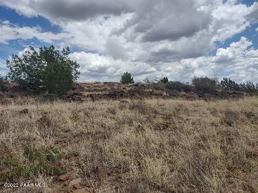Lot 73 Rocky Rabbit Road Ash Fork, AZ 86320 - Photo 40 of 104 IMG_20220701_125541473_HDR