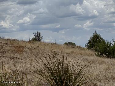 Lot 73 Rocky Rabbit Road Ash Fork, AZ 86320 - Photo 41 of 104 IMG_20220701_125828694_HDR