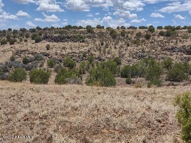 Lot 73 Rocky Rabbit Road Ash Fork, AZ 86320 - Photo 47 of 104 IMG_20220701_130118831_HDR