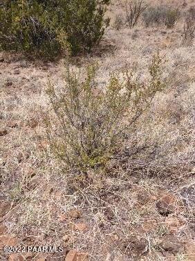 Lot 73 Rocky Rabbit Road Ash Fork, AZ 86320 - Photo 48 of 104 IMG_20220701_130328682