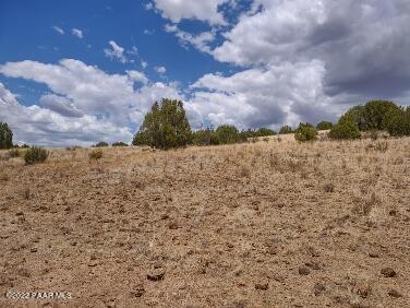 Lot 73 Rocky Rabbit Road Ash Fork, AZ 86320 - Photo 52 of 104 IMG_20220701_130453673_HDR
