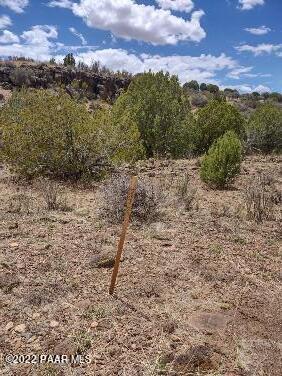 Lot 73 Rocky Rabbit Road Ash Fork, AZ 86320 - Photo 56 of 104 IMG_20220701_130637262_HDR