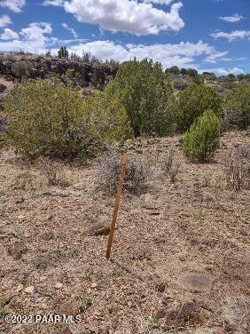 Lot 73 Rocky Rabbit Road Ash Fork, AZ 86320 - Photo 57 of 104 IMG_20220701_130638707_HDR